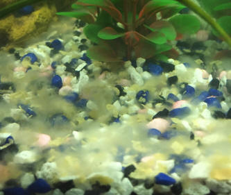 Will peat moss work to lower ph in aquariums with a high KH? : r/Aquariums